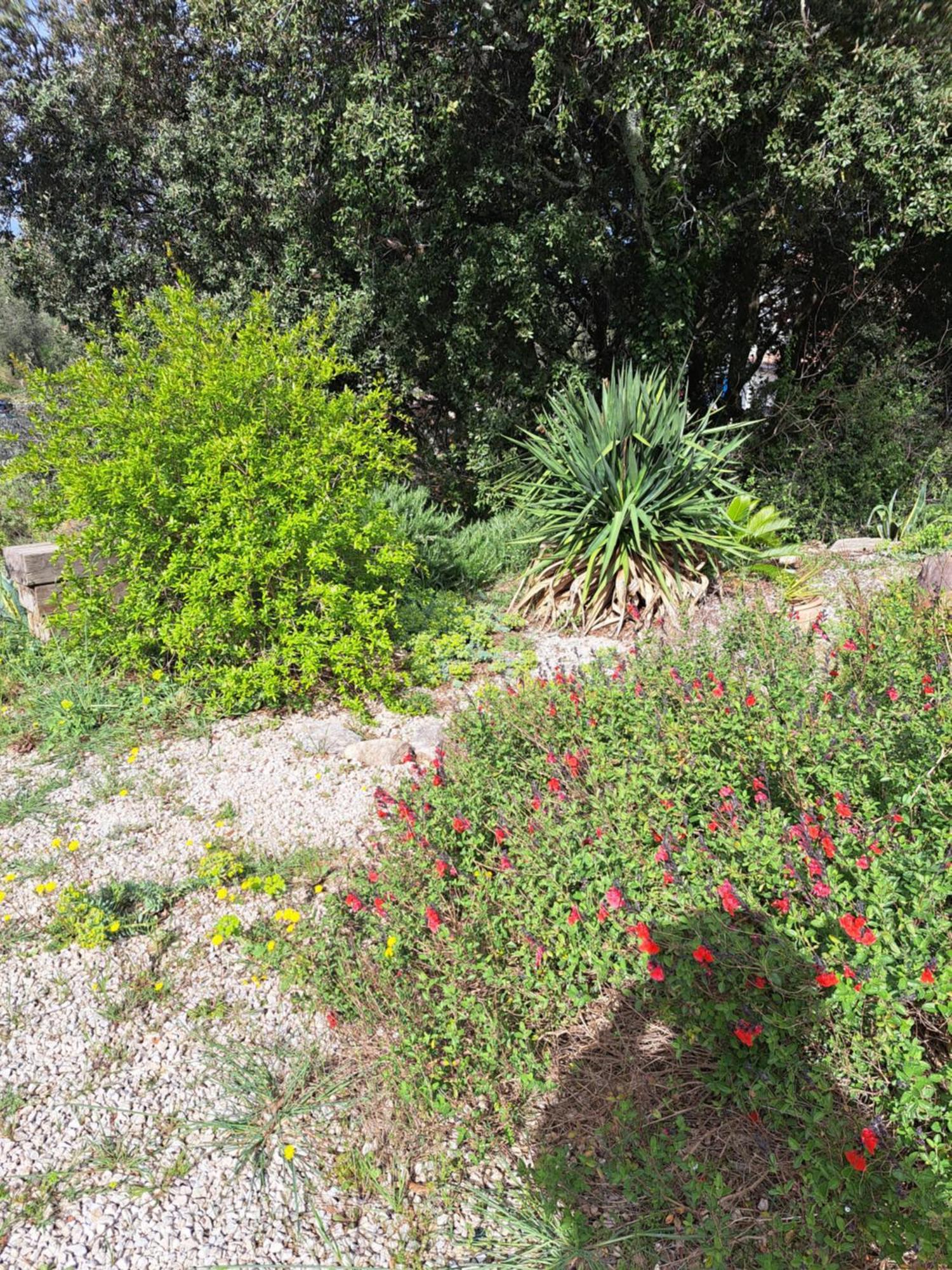 Le Calme De La Garrigue Russan Exterior foto