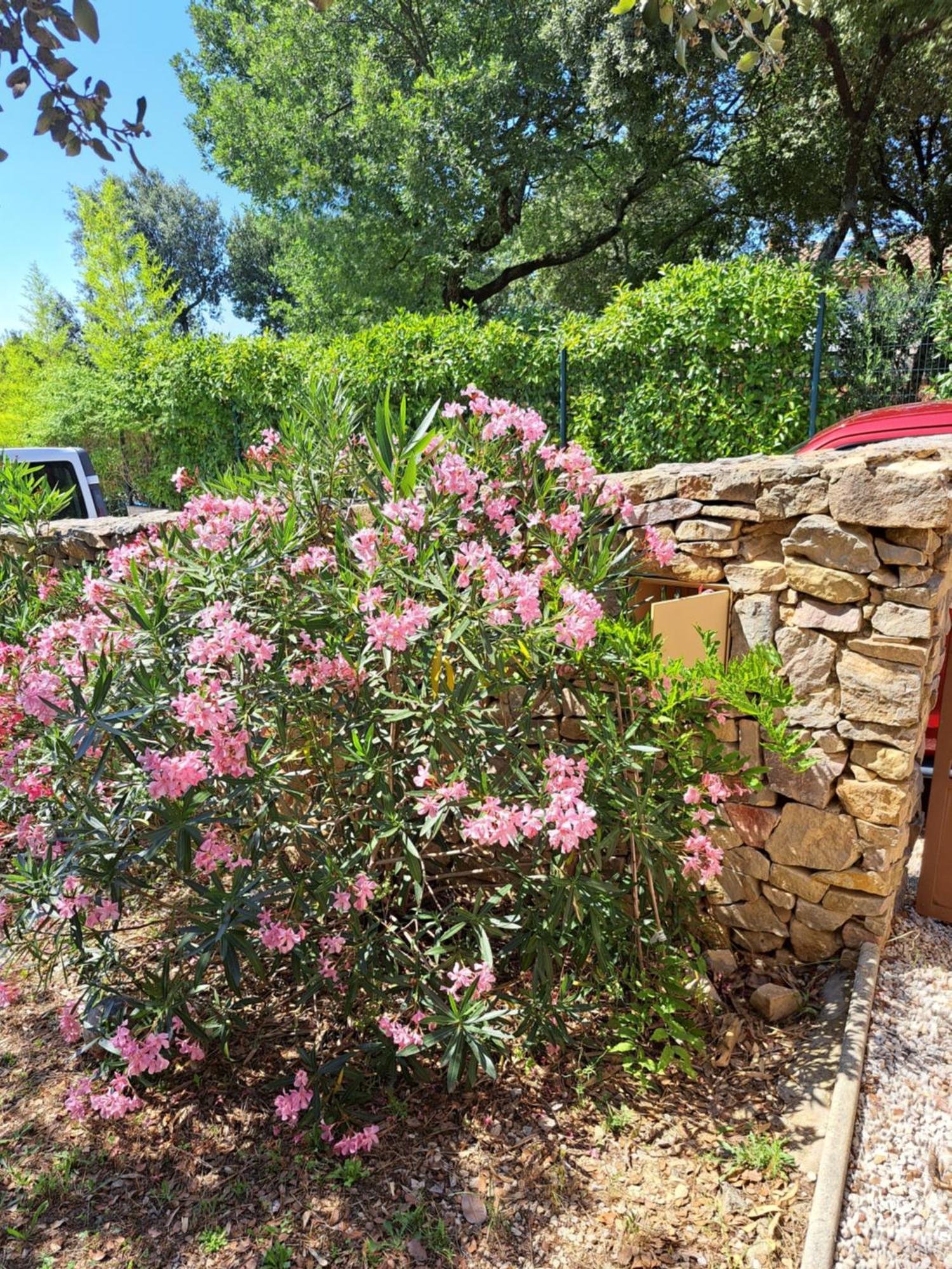 Le Calme De La Garrigue Russan Exterior foto
